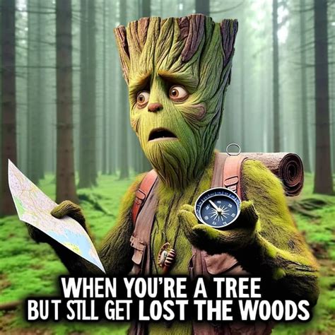 🌳 27 Hilarious Tree Memes That Will Leaf You Laughing 🍃