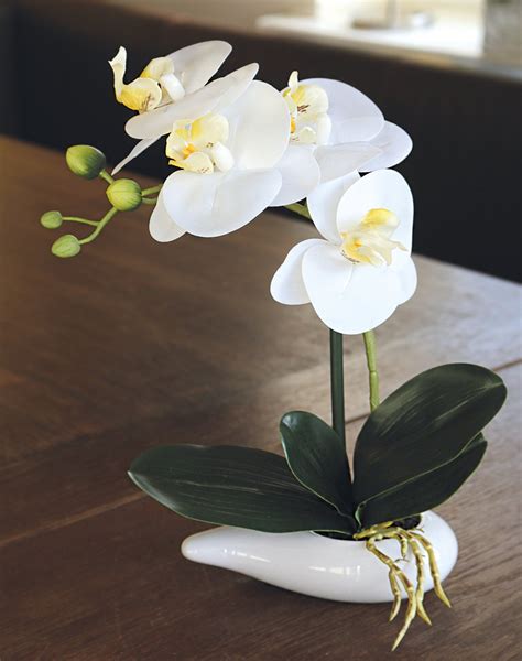 Künstliche Orchidee Phalaenopsis in Schale 29 cm Real Touch Soft