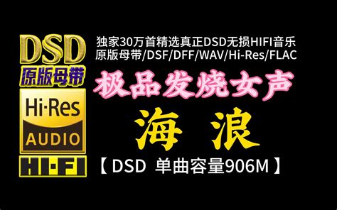 极品发烧女声：《海浪》dsd完整版，单曲容量906m【30万首精选真正dsd无损hifi音乐，百万调音师制作】 车音乐百万调音师 车音乐