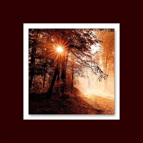 Pro Art Alu Art Bild Autumn Forest Ii X Cm Von Porta M Bel F R