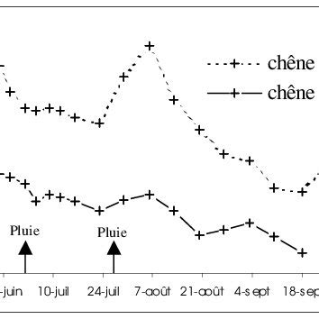 Evolution moyenne de la teneur en eau des feuilles de chêne kermès et