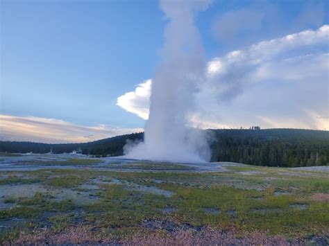 Geyser Basins of Yellowstone National Park - 4 Seasons of Winter