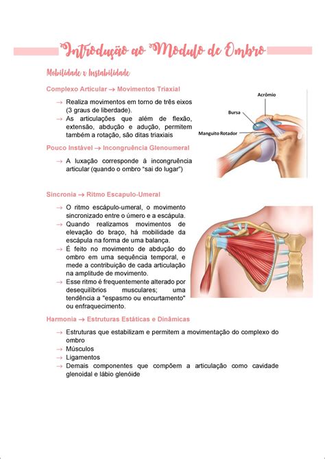 Mapas Mentais Sobre OMBRO Study Maps