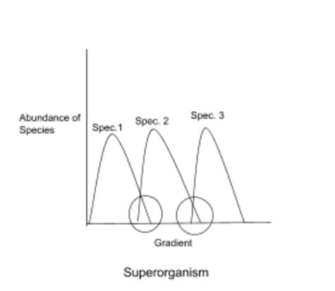 Ecology Final Exam Flashcards Quizlet