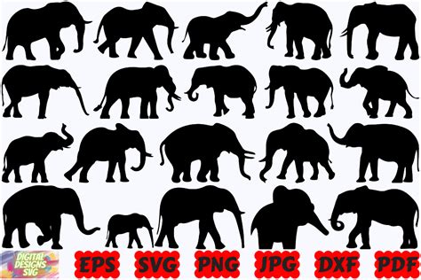 Elephant Svg Safari Animal Svg Animal Graphic By