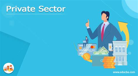 Private Sector How Does Private Sector Work With Role And Example