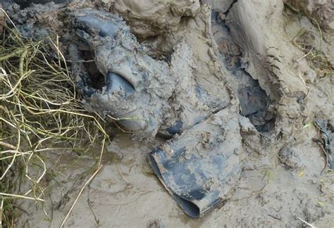 Mud Wedgies 4 Glamourous Wedge Wellies Go Mudlarking N Flickr