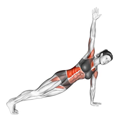 Push Ups With Rotation Benefits Muscles Worked And More Inspire Us