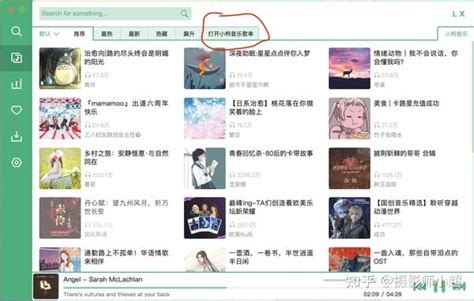 洛雪音乐导入网易云音乐歌单 知乎