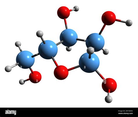 Nucleotide sugar metabolism Cut Out Stock Images & Pictures - Alamy