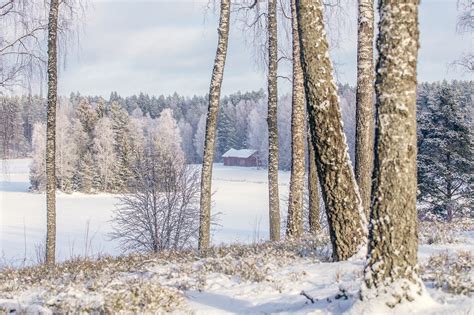 Winter Winterlandschaft Natur Kostenloses Foto Auf Pixabay Pixabay