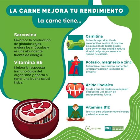 M Ltiples Beneficios Del Consumo De Carne Prote Na Roja