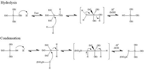 Hydrolysis And Condensation Reactions Of Teos Precursors To Form A