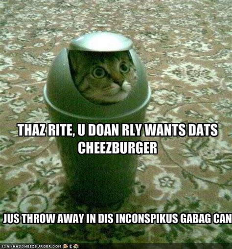 Thaz Rite U Doan Rly Wants Dats Cheezburger Cheezburger Funny