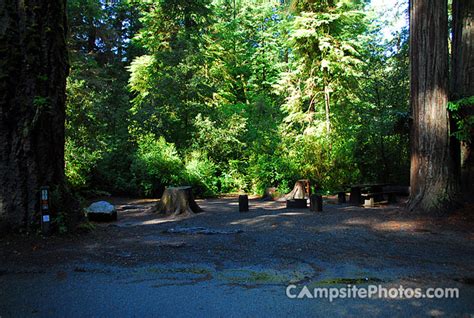 Jedediah Smith Redwoods State Park - Campsite Photos & Reservations