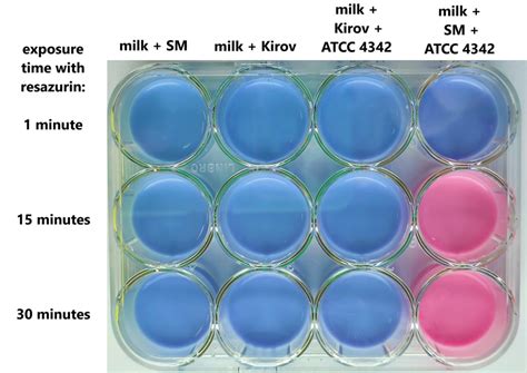 Resazurin Test The Viability Of Bacterial Cells In Milk Artificially