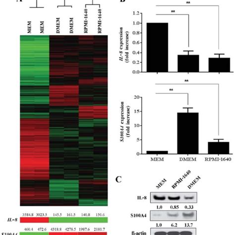 Differential Gene Expression Between Mda Mb Breast Cancer Cells