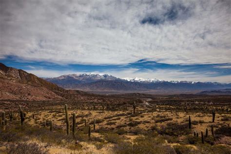 Parque Nacional Los Cardones Salta Tripin Argentina