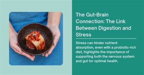 Gut Brain Connection Stress And Digestion Telluride Regional Medical