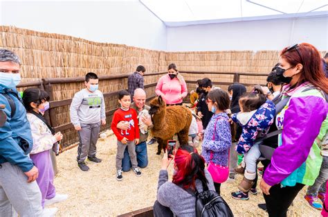 Llega a Antofagasta muestra interactiva de animales exóticos más