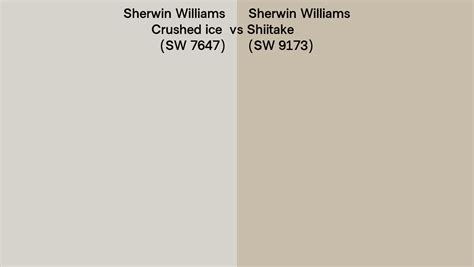 Sherwin Williams Crushed Ice Vs Shiitake Side By Side Comparison