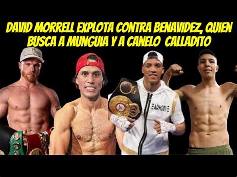 Benavidez Quiere A Canelo Y A Munguia Pero No A Morrell El Cubano