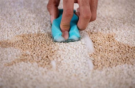 Old Stains Removal From Your Carpets In Baltimore Area