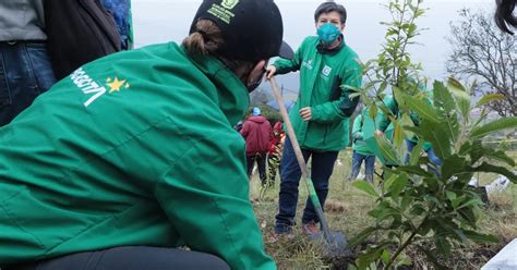 “son Talas Que Dolorosamente Hemos Tenido Que Hacer Por Obras” Claudia