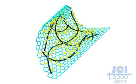 表面附着纳米线碳纳米管与小分子的石墨烯 镇江图研科技有限公司