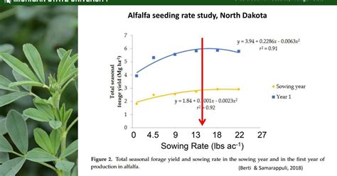 Alfalfa seeding rate | | agupdate.com