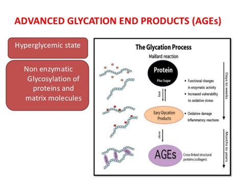 The Health Edge Advanced Glycosylated End Products Ages And Health