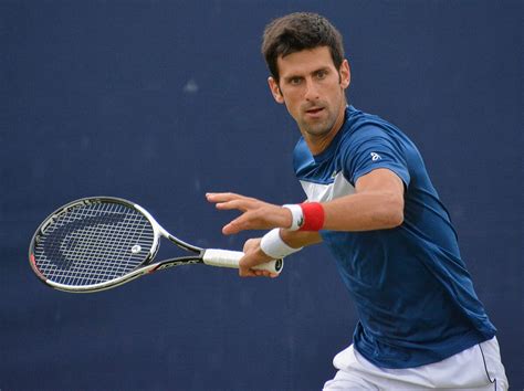 Novak Djokovic - Wikipedia