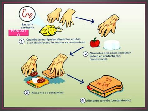 PARASITOSIS Y ANEMIA PPT