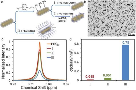 A Three Reaction Routes For PEGylation Of GNR SiO 2 B TEM Image