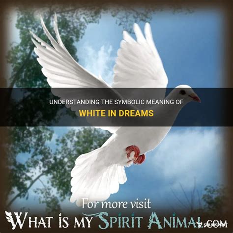 Understanding The Symbolic Meaning Of White In Dreams Shunspirit