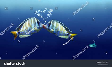 12,467 Fish Kiss Images, Stock Photos & Vectors | Shutterstock