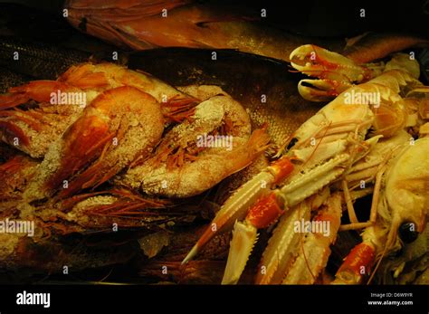 Marine seafood Malta Stock Photo - Alamy