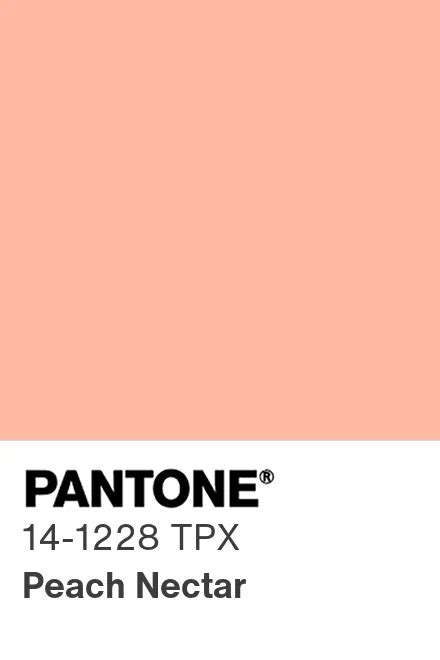 PANTONE France PANTONE 14 1228 TPX Find A Pantone Color Quick