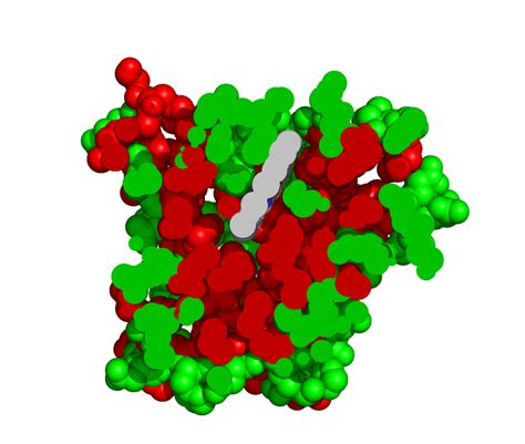 Tertiary Structure And Protein Stability Bioc2580 Introduction To