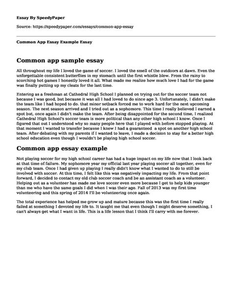 Common App Essay Prompts 2024 24th Edition - Biddie Morganica