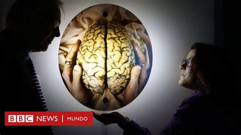 Es Tu Cerebro Masculino O Femenino BBC News Mundo