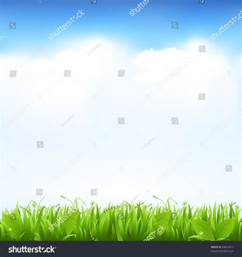 Grass Sky Vector Illustration Stock Vector (Royalty Free) 83816812 | Shutterstock