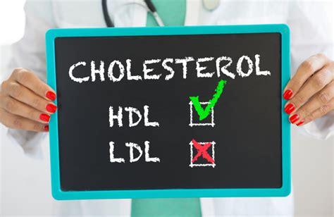 Boost Your Hdl Cholesterol Heart Healthy Tips Maxinhealth Blog