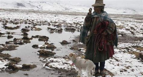 Puno Senamhi Evalúa Emitir Un Alerta De Heladas En Zonas Altas Peru