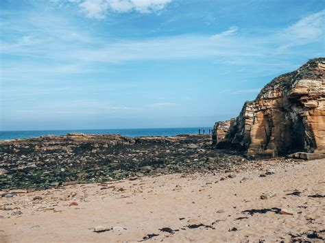 Northumberland Beaches - Living With The Wolf