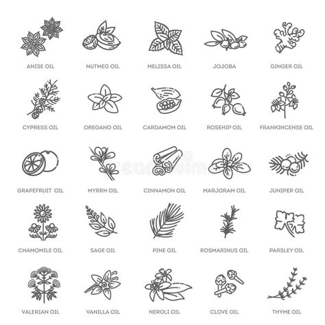 Vector Set Of Natural Ingredients And Oils For Cosmetics In Linear