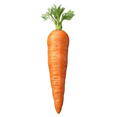 Ai Generated Carrot Clip Art 34969225 Png