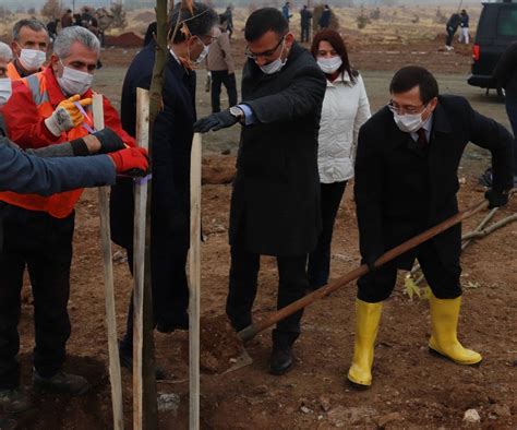 Gelece E Nefes Ol Kampanyas Nda Ilk Fidan Dikildi Malatya Haberleri