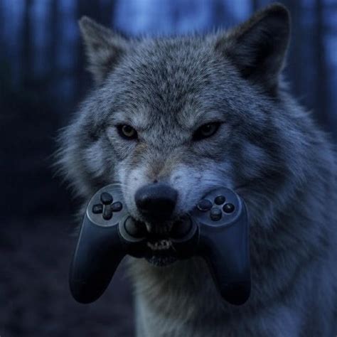 Aberrant Wolf Gaming - YouTube