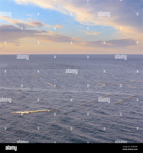 Sea Surface Water Surface Hi Res Stock Photography And Images Alamy